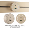 Трековая розетка Arte Milano Am-track-sockets-39 399732TS/USB-Type-C Gold — купить в Bronko‑Decor