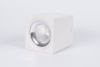Накладной светодиодный светильник Fiberli CH-SD220-1(W) 12120103 — купить в Bronko‑Decor