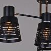 Потолочная люстра Reluce 06074-3.3-04 BK+FG — купить в Bronko‑Decor