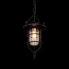 Подвесной светильник LOFT IT Warehouse Loft1141 — купить в Bronko‑Decor
