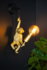 Бра Lucide Extravaganza Chimp 10202/01/30 — купить в Bronko‑Decor