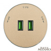 Трековая розетка Arte Milano Am-track-sockets 380011TS/USBx2 Gold — купить в Bronko‑Decor