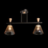 Потолочный светильник De Markt Дэла 635014402 — купить в Bronko‑Decor