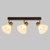 Спот IMEX SP.047-53-22 — купить в Bronko‑Decor
