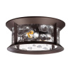Уличный потолочный светильник Odeon Light Mavret 4961/2C — купить в Bronko‑Decor