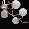 Потолочная люстра MW-Light Оливия 306012709 — купить в Bronko‑Decor