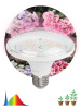 Фитолампа для растений светодиодная Эра E27 18W 6500K FITO-18W-Ra90-E27 Б0057710 — купить в Bronko‑Decor