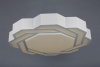 Потолочный светодиодный светильник Omnilux OML-43607-59 — купить в Bronko‑Decor