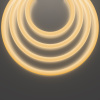 Гибкий неон Maytoni Led Strip 24В 14,4Вт/м 2700К 5м IP65 20300 — купить в Bronko‑Decor