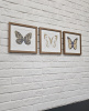 Постер Tomas Stern 83009 — купить в Bronko‑Decor
