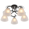 Потолочная люстра Seven Fires Nuala SF3372/5C-BK-CR-WT — купить в Bronko‑Decor