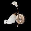 Бра MW-Light Восторг 19 242026601 — купить в Bronko‑Decor