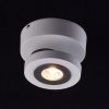 Спот MW-Light Астор 545020801 — купить в Bronko‑Decor