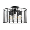 Потолочная люстра Lightstar Genni 798257 — купить в Bronko‑Decor