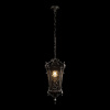 Уличный подвесной светильник Loft IT Tremezzo 100019P BS — купить в Bronko‑Decor