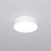 Потолочный светильник Eurosvet Entire 90318/1 белый a063076 — купить в Bronko‑Decor