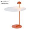 Торшер Lussole Boise LSP-0916 — купить в Bronko‑Decor