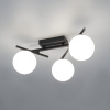 Настенно-потолочный светильник Citilux Dorsy CL223132 — купить в Bronko‑Decor