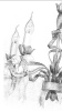 Подвесная люстра Lucia Tucci Angelo 147.3 Ivory — купить в Bronko‑Decor