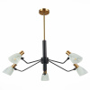 Подвесная люстра Evoluce Lita SLE205403-05 — купить в Bronko‑Decor
