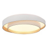 Потолочный светильник Evoluce Crosby SLE6009-502-01 — купить в Bronko‑Decor