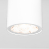 Уличный потолочный светильник Elektrostandard Light LED 4690389176555 — купить в Bronko‑Decor