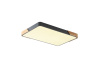 Потолочный светильник Zortes Alberro ZRS.01277.60 — купить в Bronko‑Decor