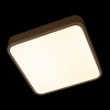 Потолочный светильник Loft IT Flims 10228/C — купить в Bronko‑Decor