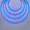 Гибкий неон Maytoni 24В 9,6Вт/м Blue 5м IP67 200521 — купить в Bronko‑Decor