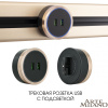 Трековая розетка Arte Milano Am-track-sockets 380066TS LED/USBx2 Gold — купить в Bronko‑Decor