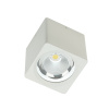 Накладной светодиодный светильник Fiberli CH-SD220-1(W) 12120103 — купить в Bronko‑Decor