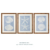 Постер Tomas Stern 83026 — купить в Bronko‑Decor