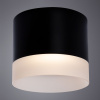 Потолочный светильник Arte Lamp Castor A5554PL-1BK — купить в Bronko‑Decor