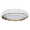 Потолочный светильник Evoluce Crosby SLE6009-502-01 — купить в Bronko‑Decor