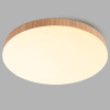 Потолочный светильник Feron AL1600 51110 — купить в Bronko‑Decor